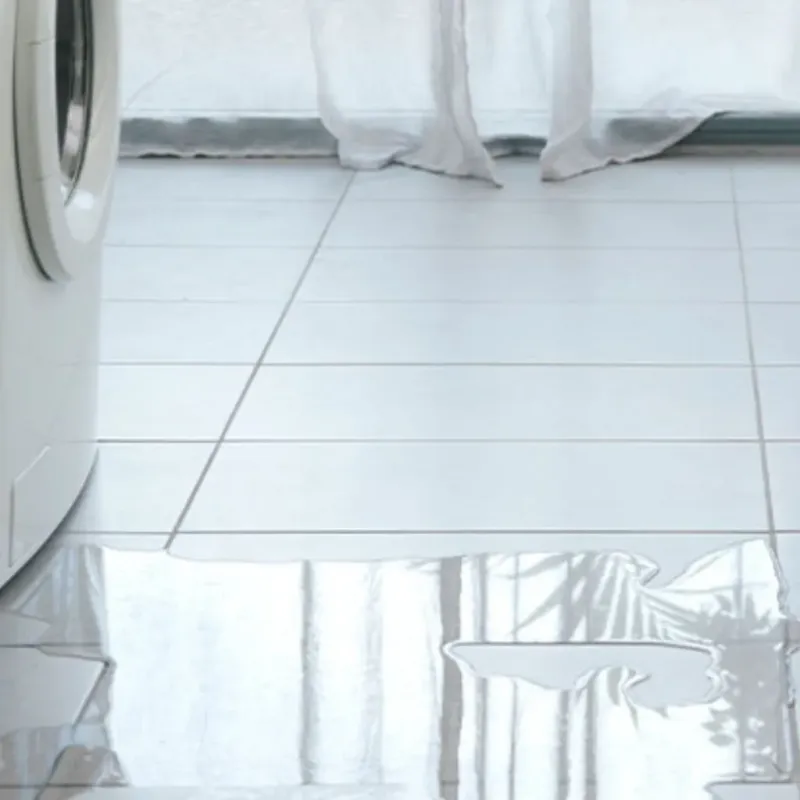 Appliance Leak Cleanup in Warren County, IL
