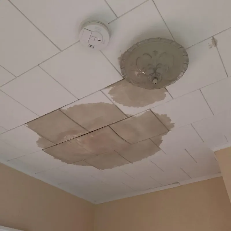 Ceiling Water Damage Repair in Warren County, IL