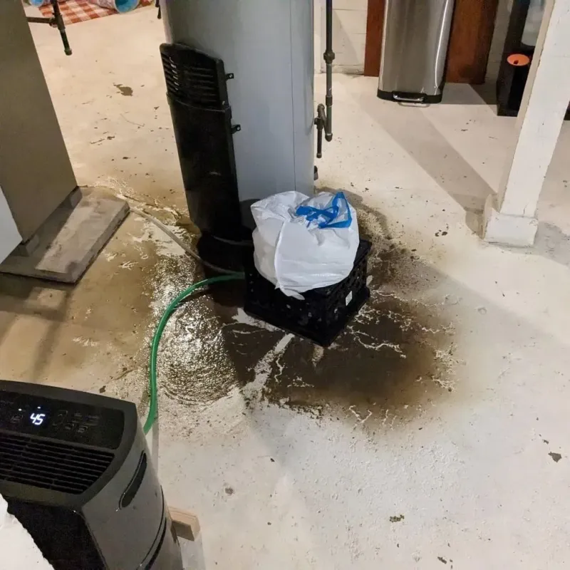 Sewage Backup Cleanup Service in Warren County, IL